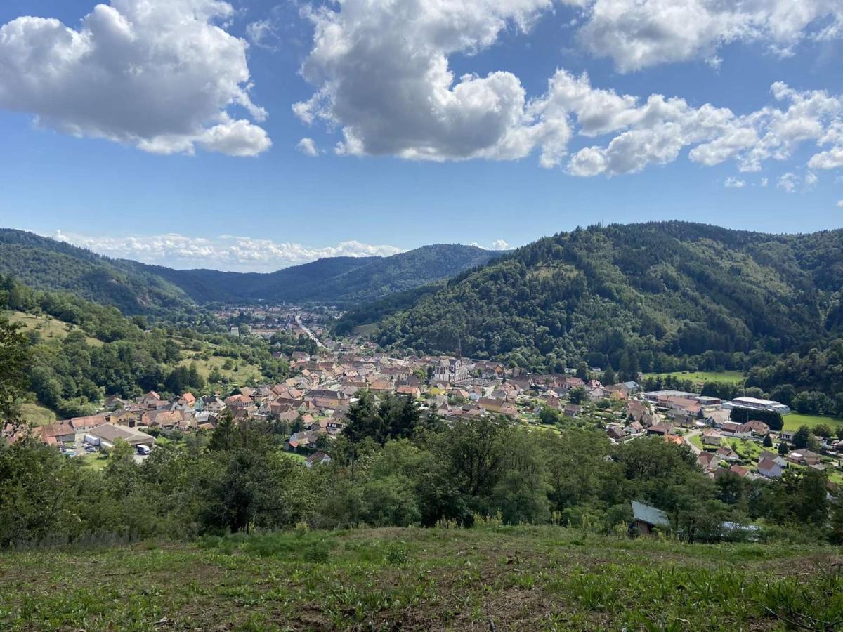 Les Noyers Du Wissbach Βίλα Willer-sur-Thur Εξωτερικό φωτογραφία