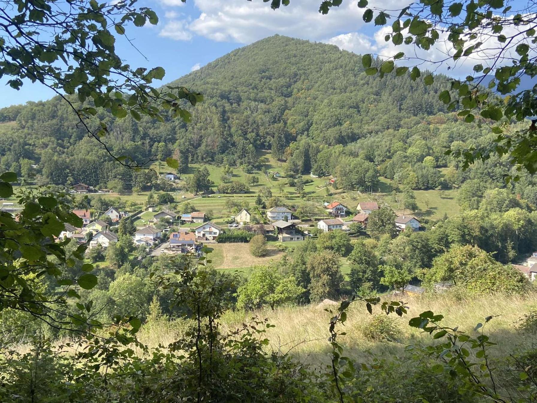 Les Noyers Du Wissbach Βίλα Willer-sur-Thur Εξωτερικό φωτογραφία
